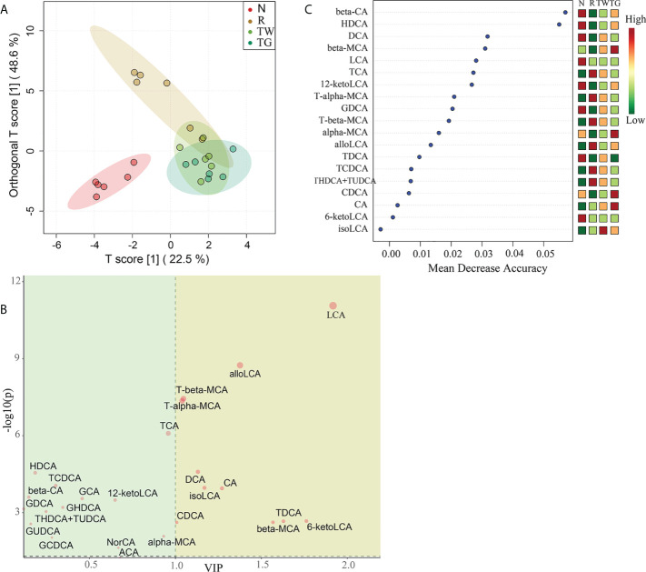 Figure 6