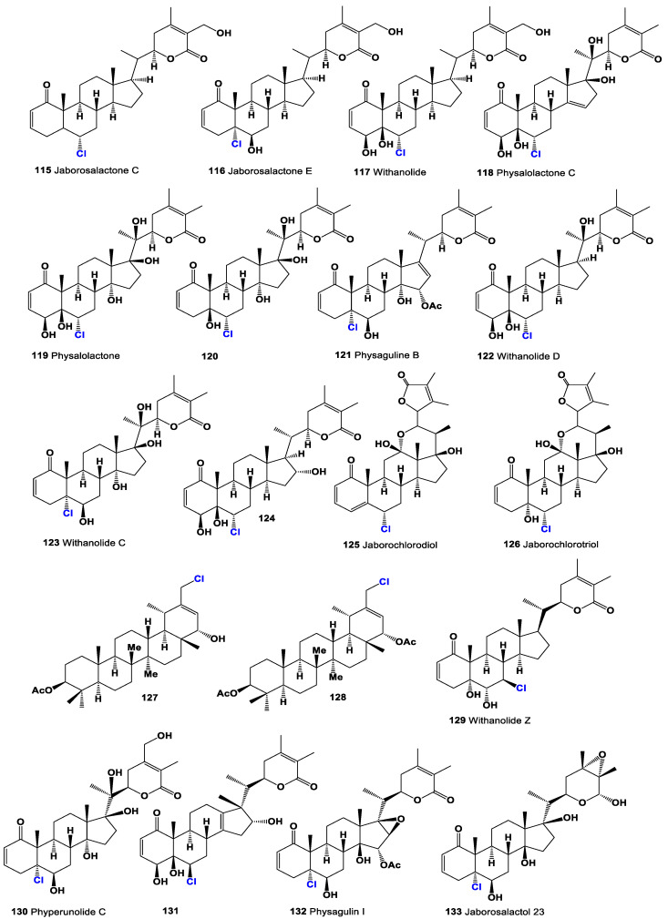 Figure 24