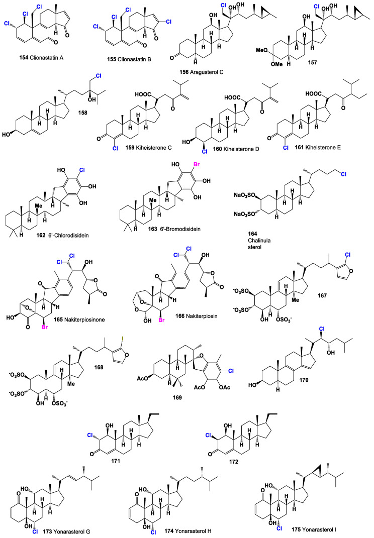 Figure 32