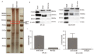 Fig 8