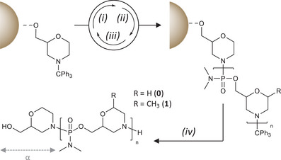 Scheme 4