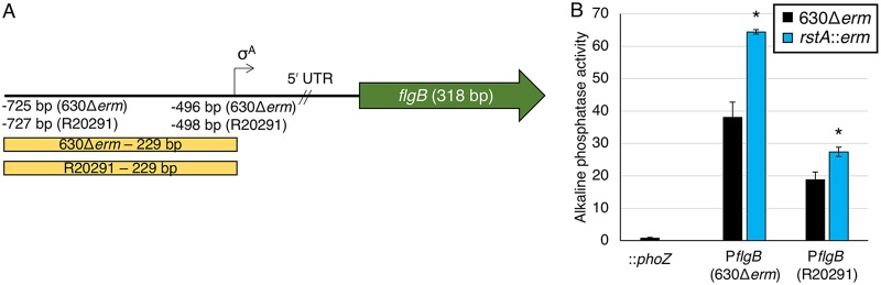 FIG 3