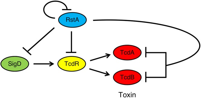 FIG 7