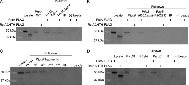 FIG 4