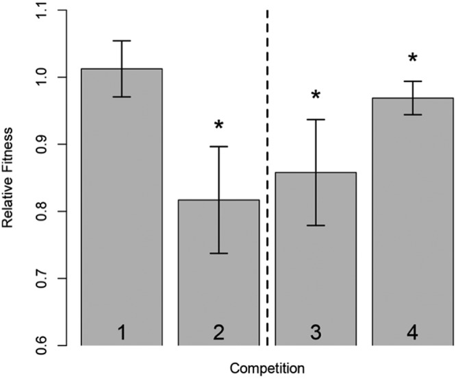 FIG 2