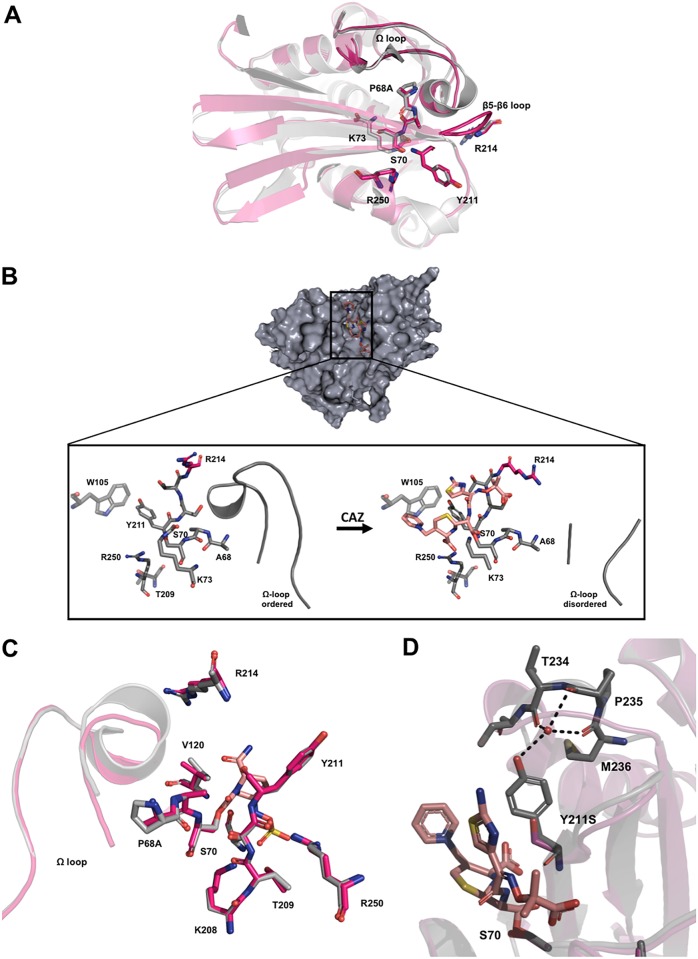 FIG 1