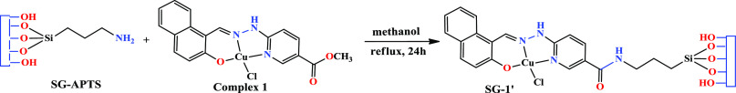 Scheme 2