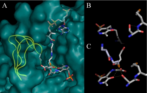 FIGURE 1.