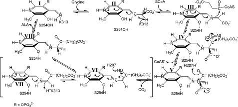 SCHEME 1