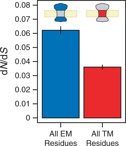 Fig. 2.—