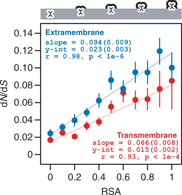 Fig. 4.—