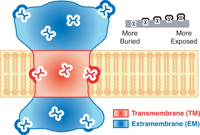 Fig. 1.—