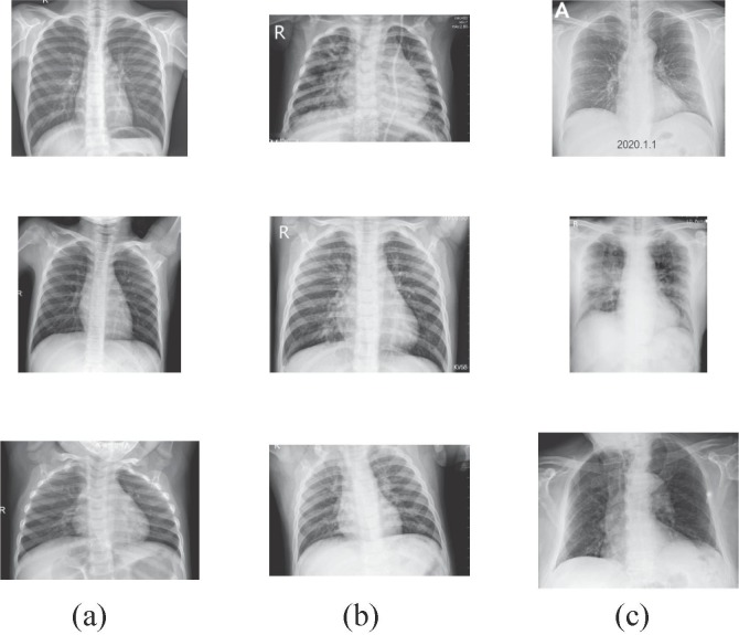 Fig. 5