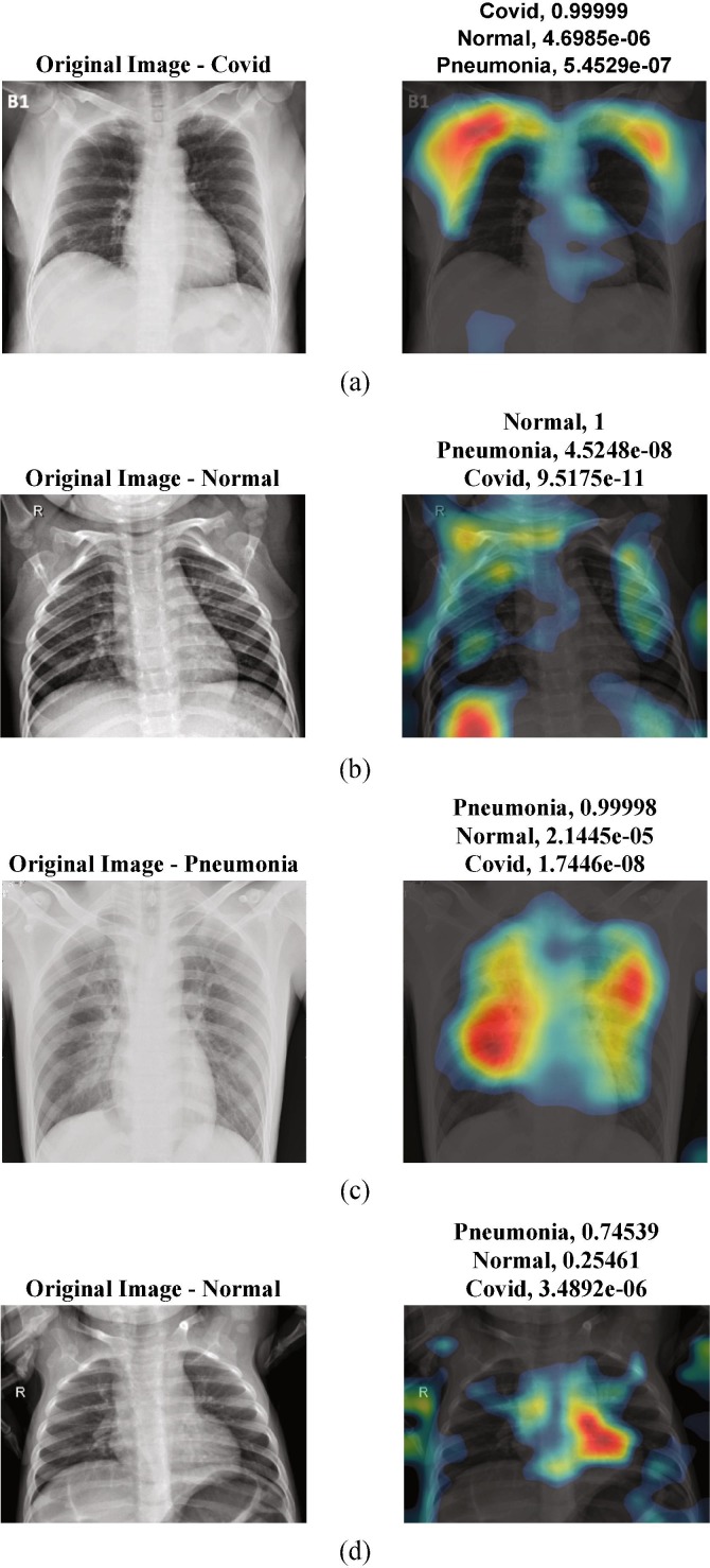 Fig. 12