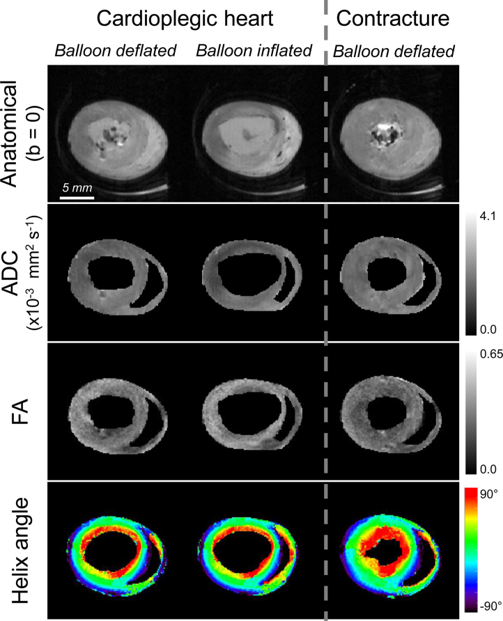 Fig. 3