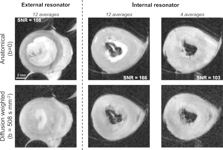 Fig. 2