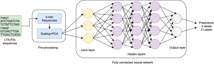 Figure 1: