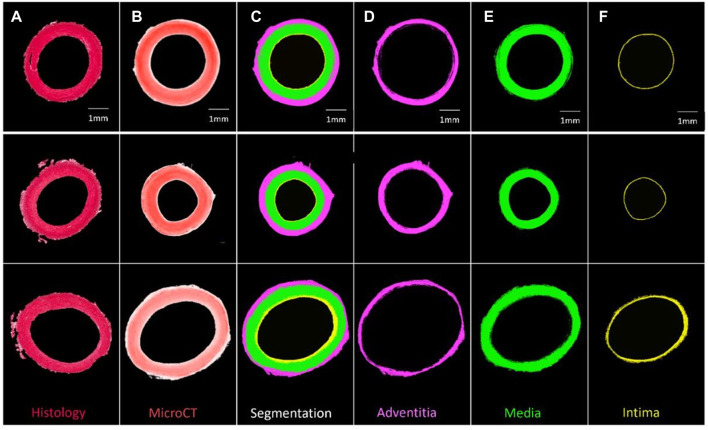 FIGURE 3