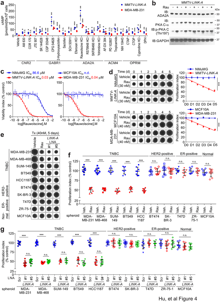 Figure 4: