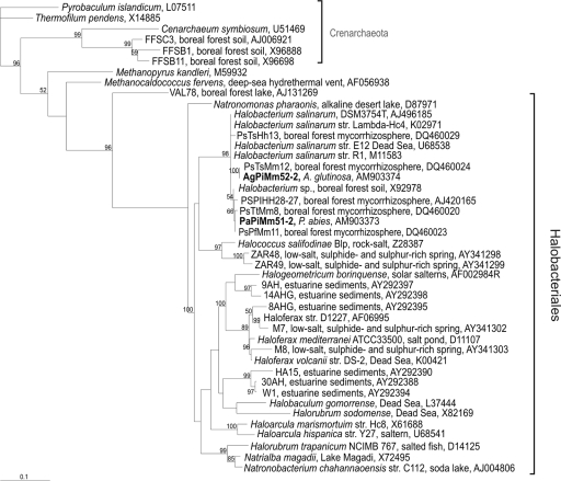 FIG. 4.