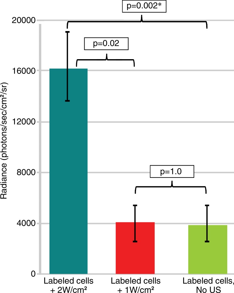 Figure 5: