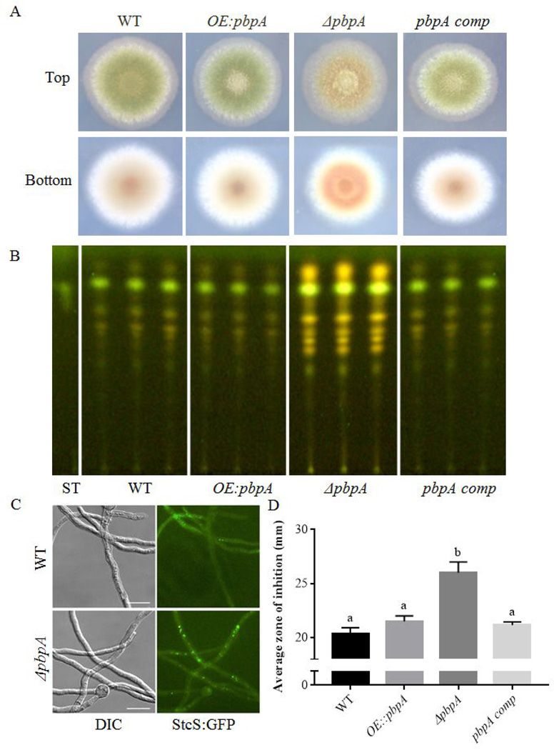 Fig. 4