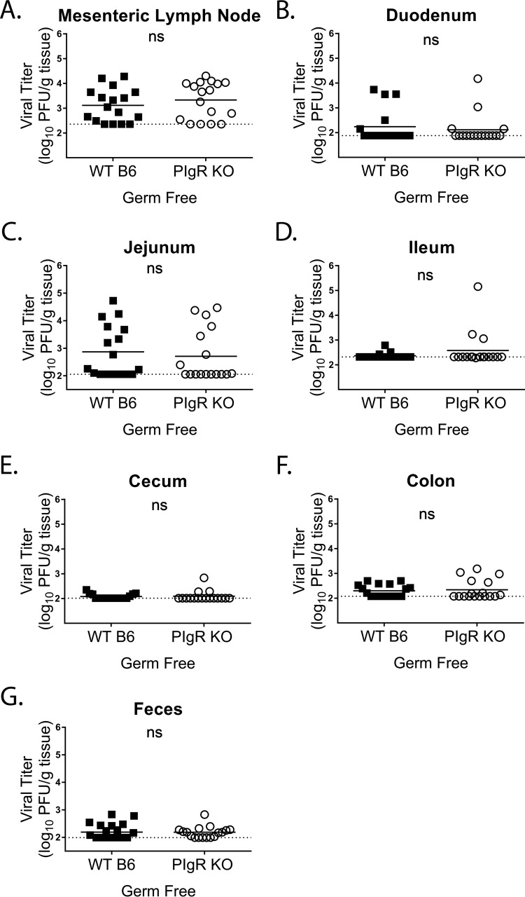 FIG 10