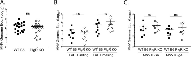 FIG 5