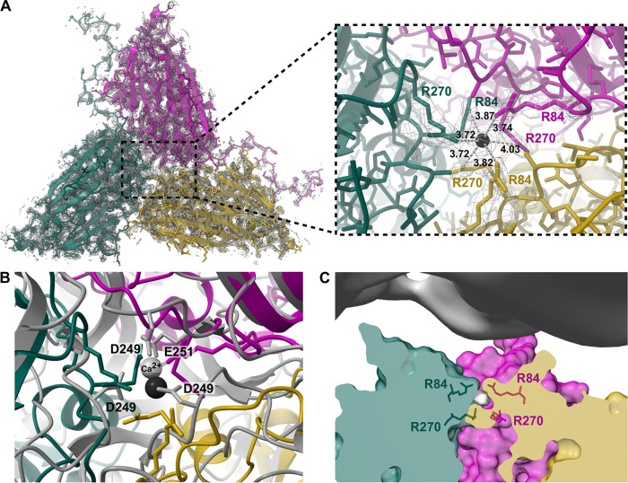 FIG 3