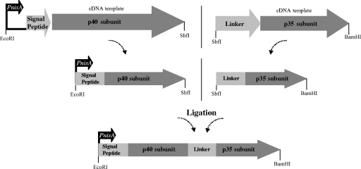 FIG. 1.