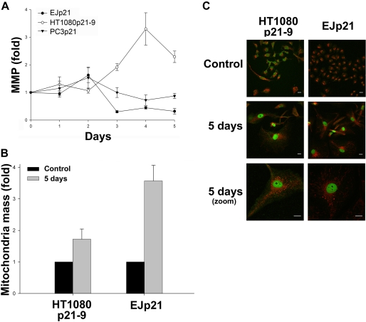 FIGURE 4.