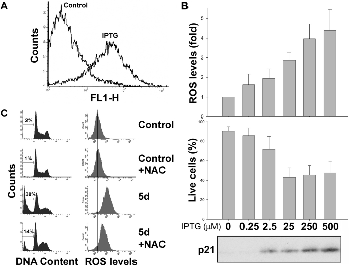 FIGURE 2.