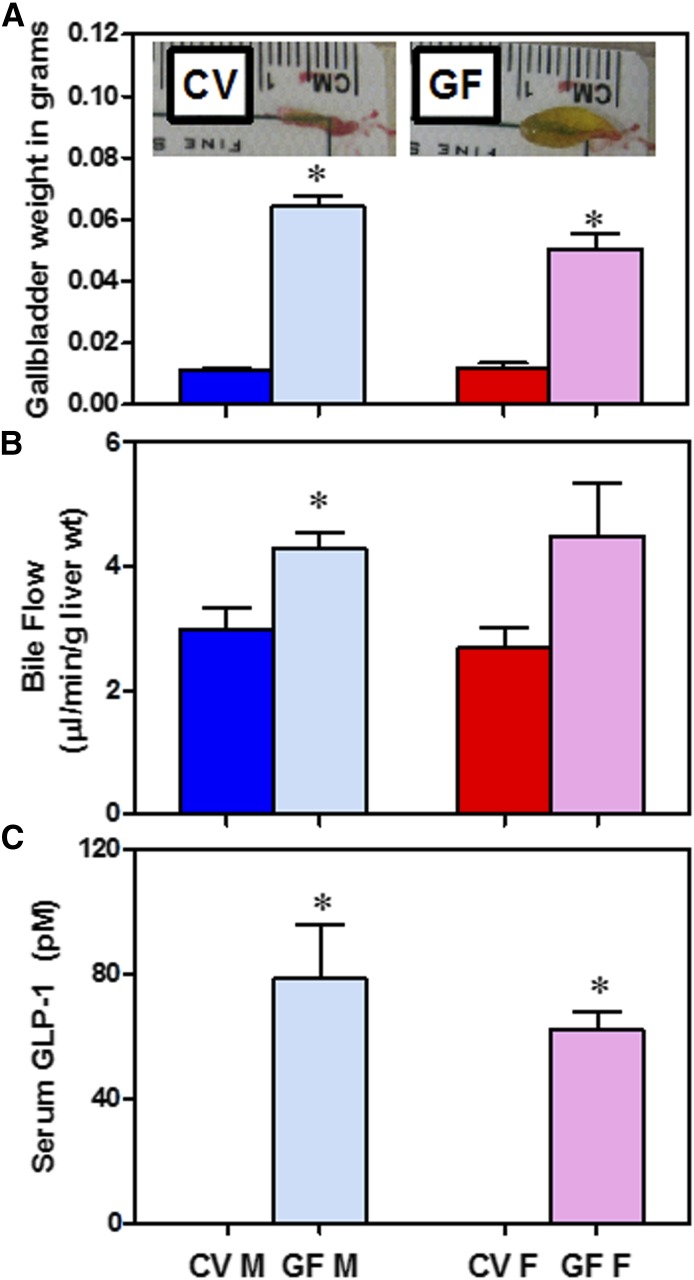 Fig. 9.