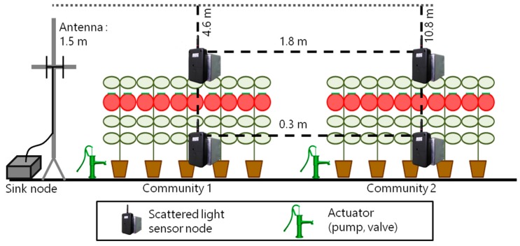 Figure 12