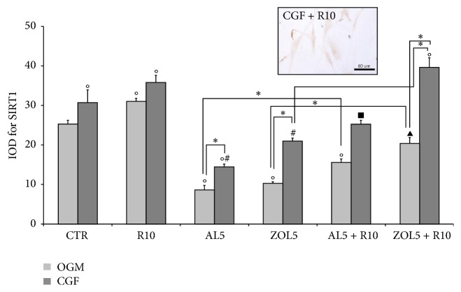 Figure 5