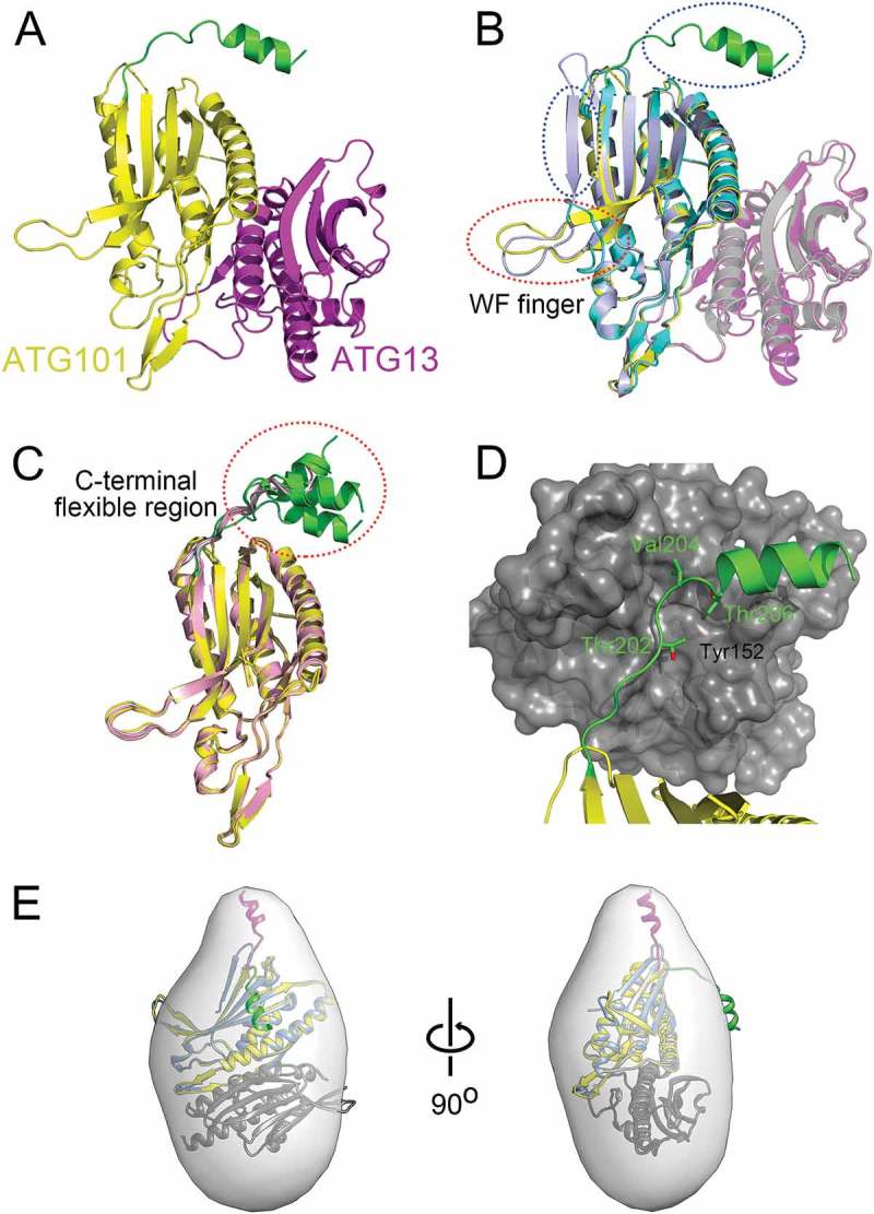 Figure 1.