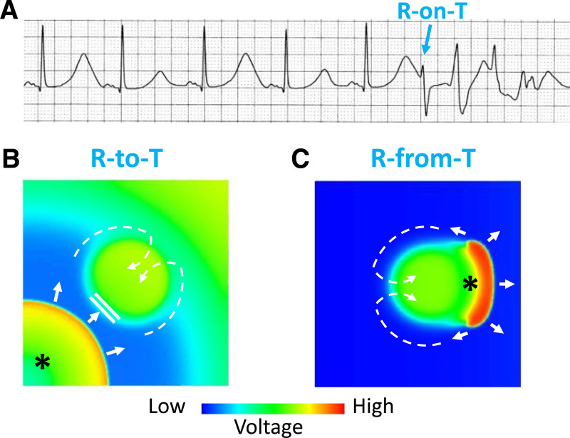 Figure 7.