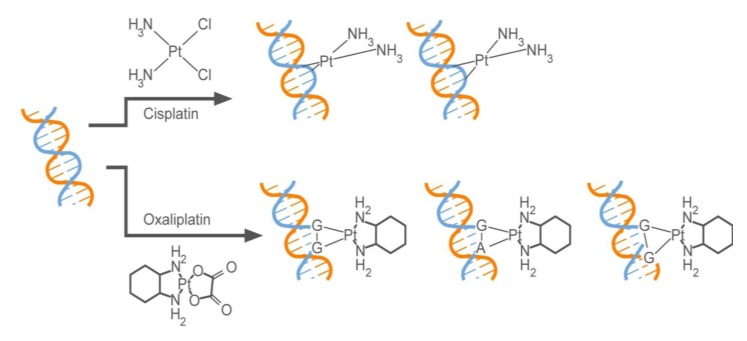 Scheme 3