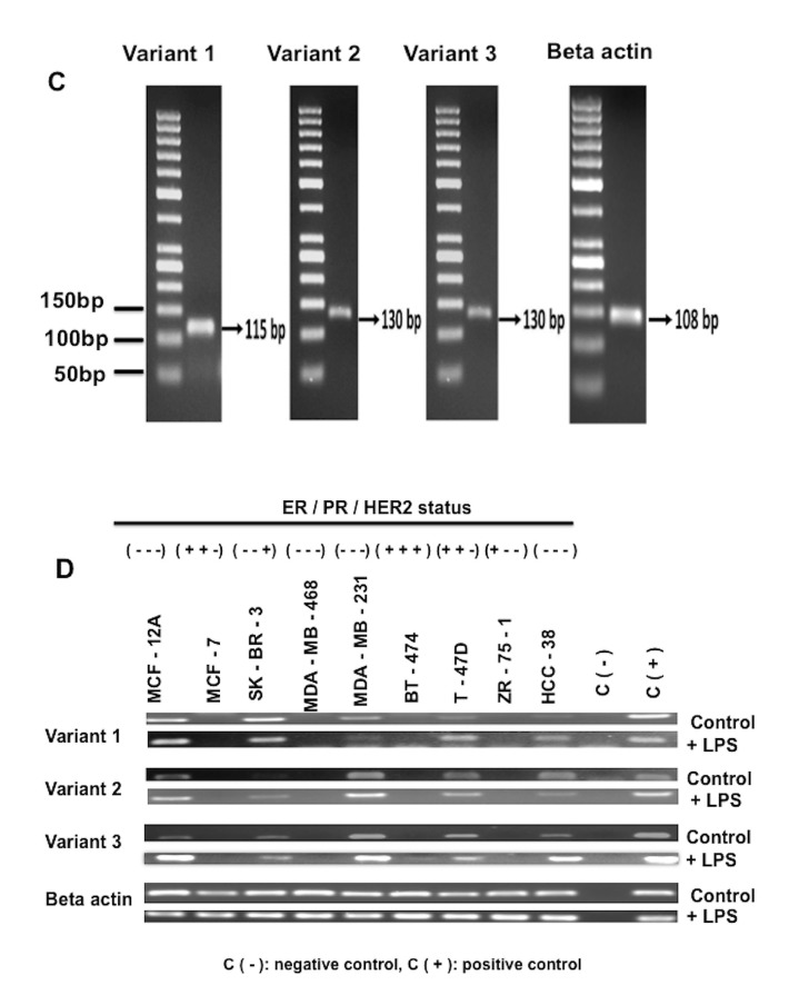 Figure 3.2