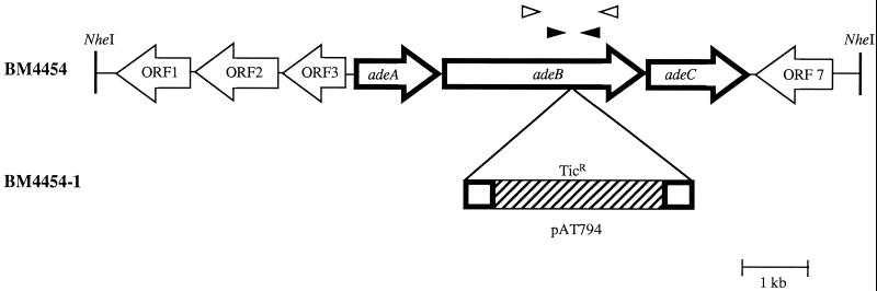 FIG. 1