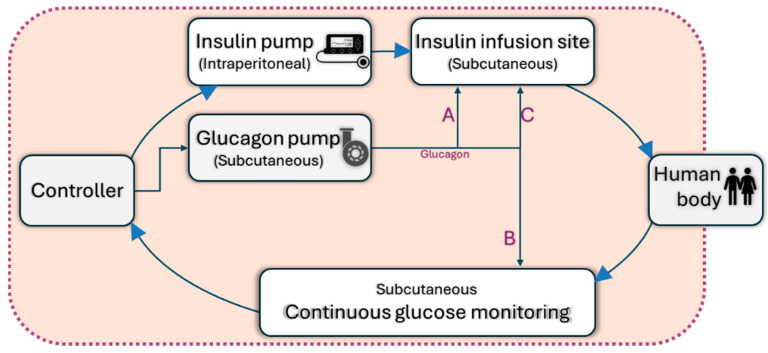 Figure 13