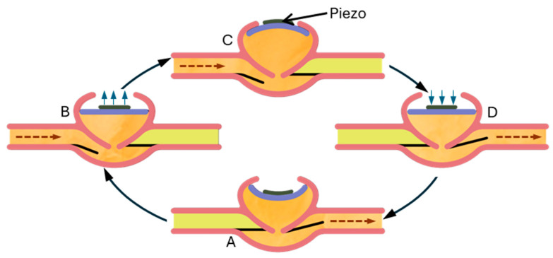 Figure 20