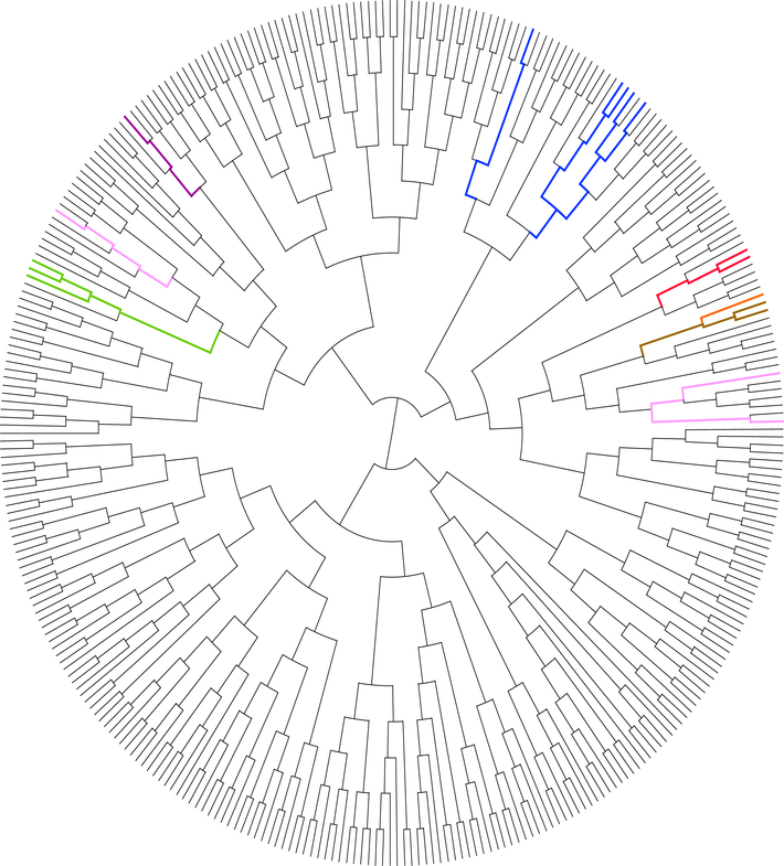 Figure 4.