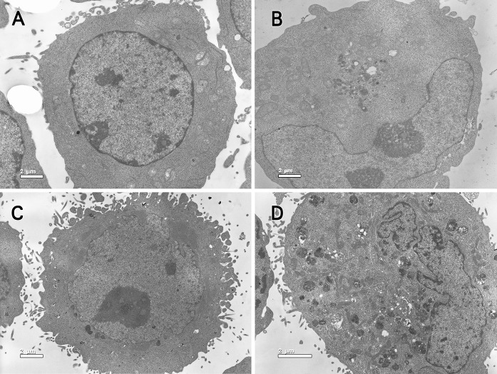 Fig. 2