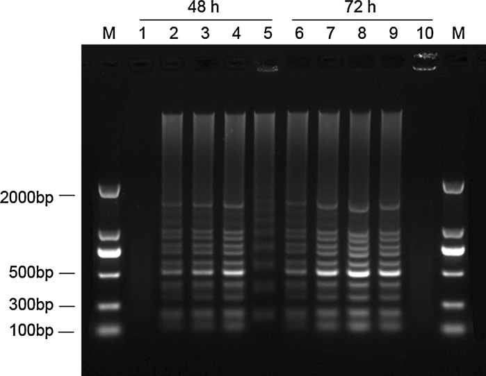 Fig. 5