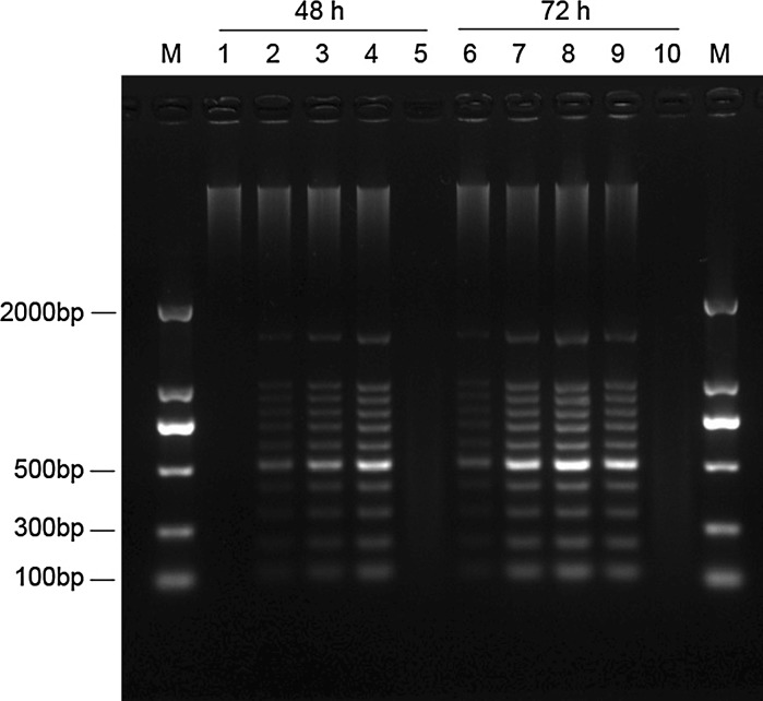 Fig. 6