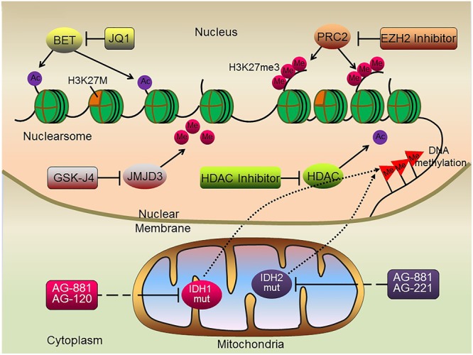 FIGURE 2