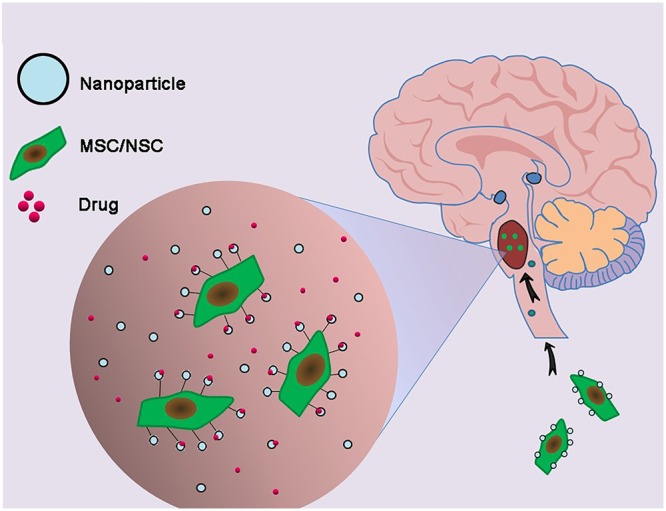 FIGURE 4