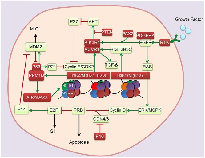 FIGURE 1