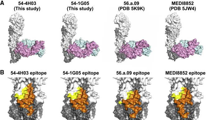 Figure 2